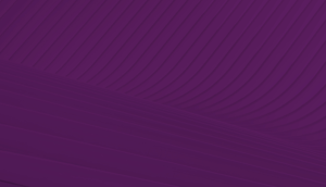 seal-purple-background